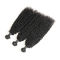 Natural Black Virgin Curly Hair Bundles / Curly Weave Human Hair 3 Bundles dostawca