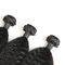 12-calowy Remy malezyjskie wiązanki z kręconymi włosami z zamknięciem Ścisła kontrola jakości dostawca