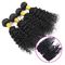 Miękkie gładkie Malezyjski Virgin Hair Extensions, Virgin Malezyjski Curly Hair Weave dostawca