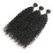 Oryginalne 9 A Water Wave Crochet Hair, 100 Remy Water Wave Weave No Tangle dostawca
